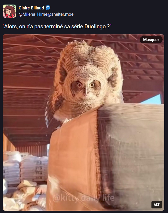 Memecredi tweet media