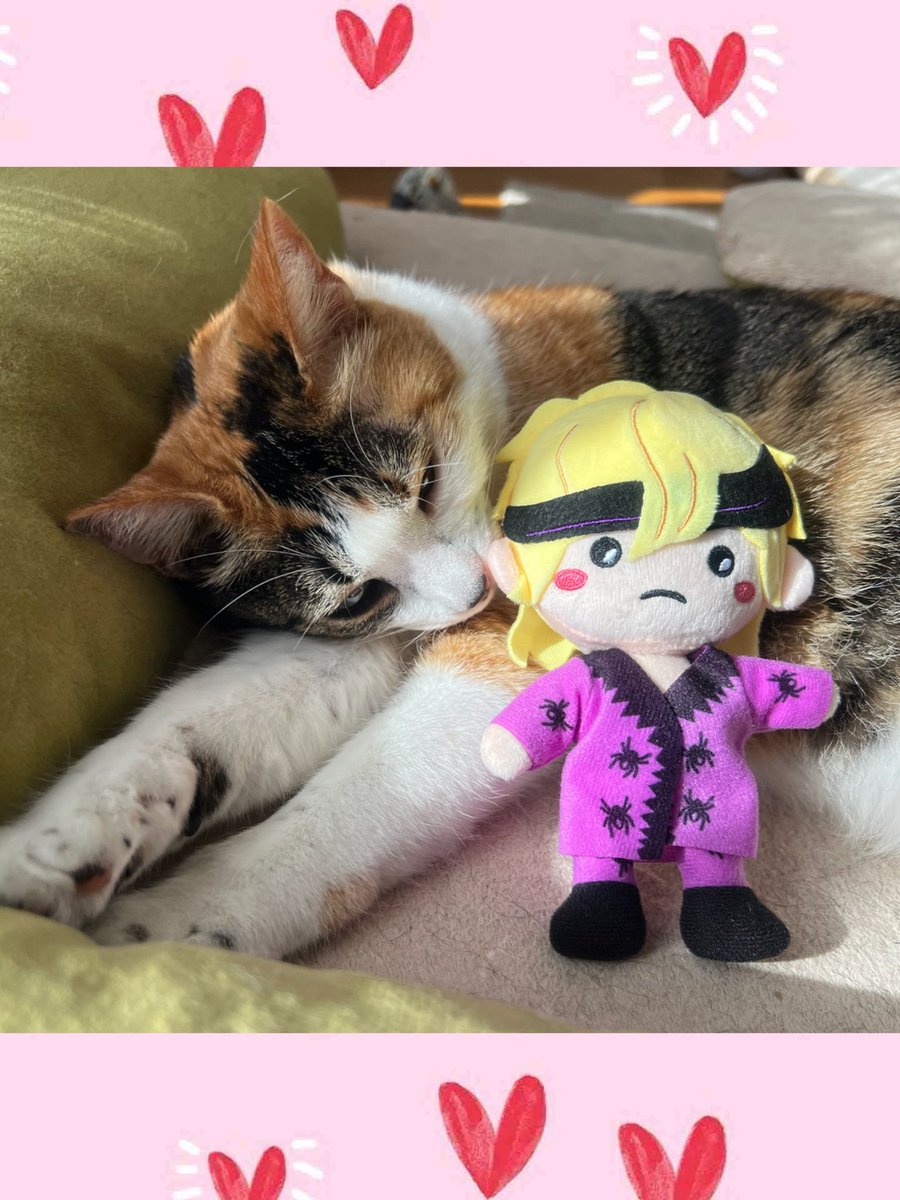 この間の日曜日 #中島卓偉 さんのLIVEに行って来ました😚🎸 昼公演も夜