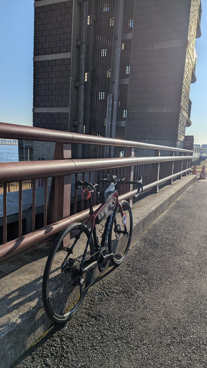 PEKO (@ab_peko) / Highlights / X