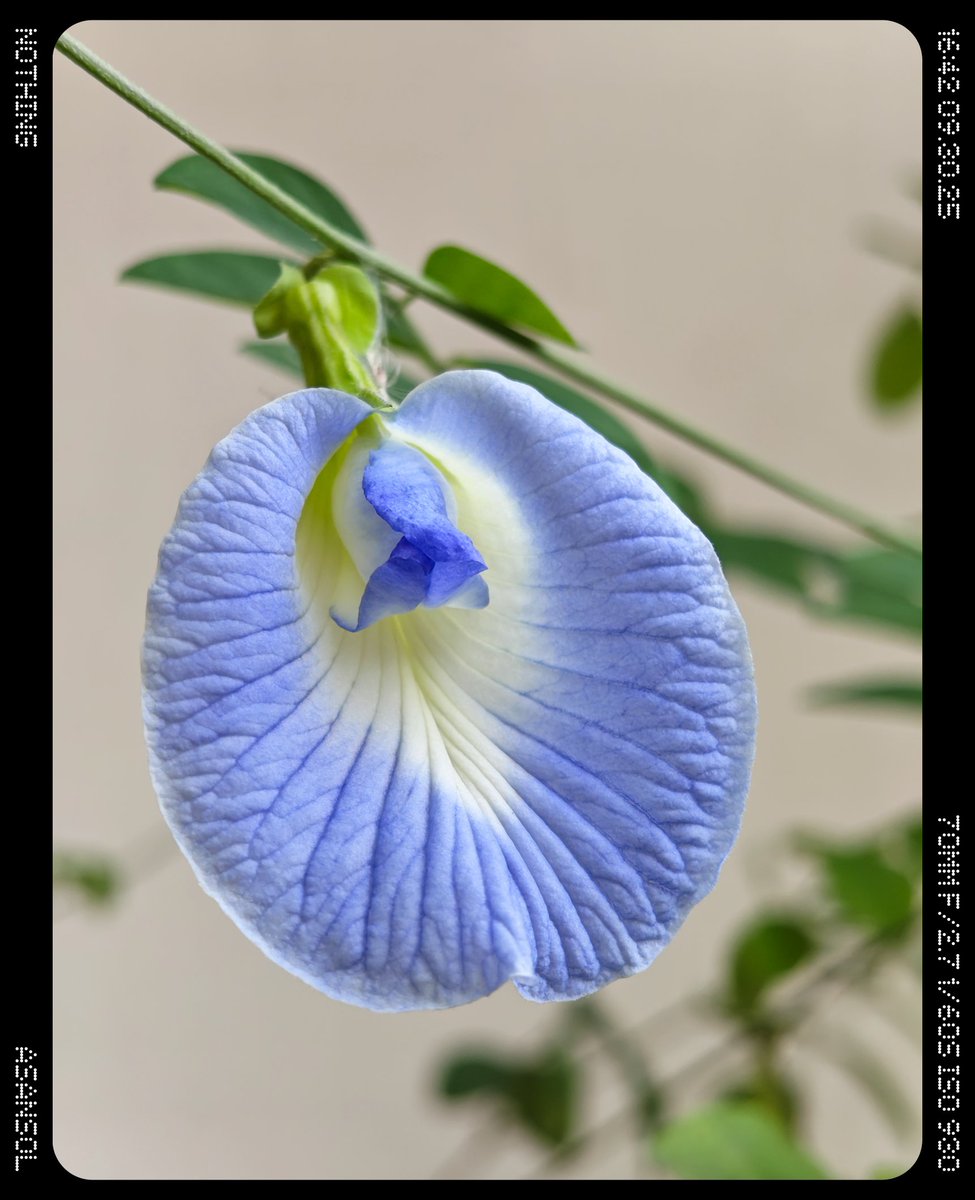 pradeep Kumar tweet media