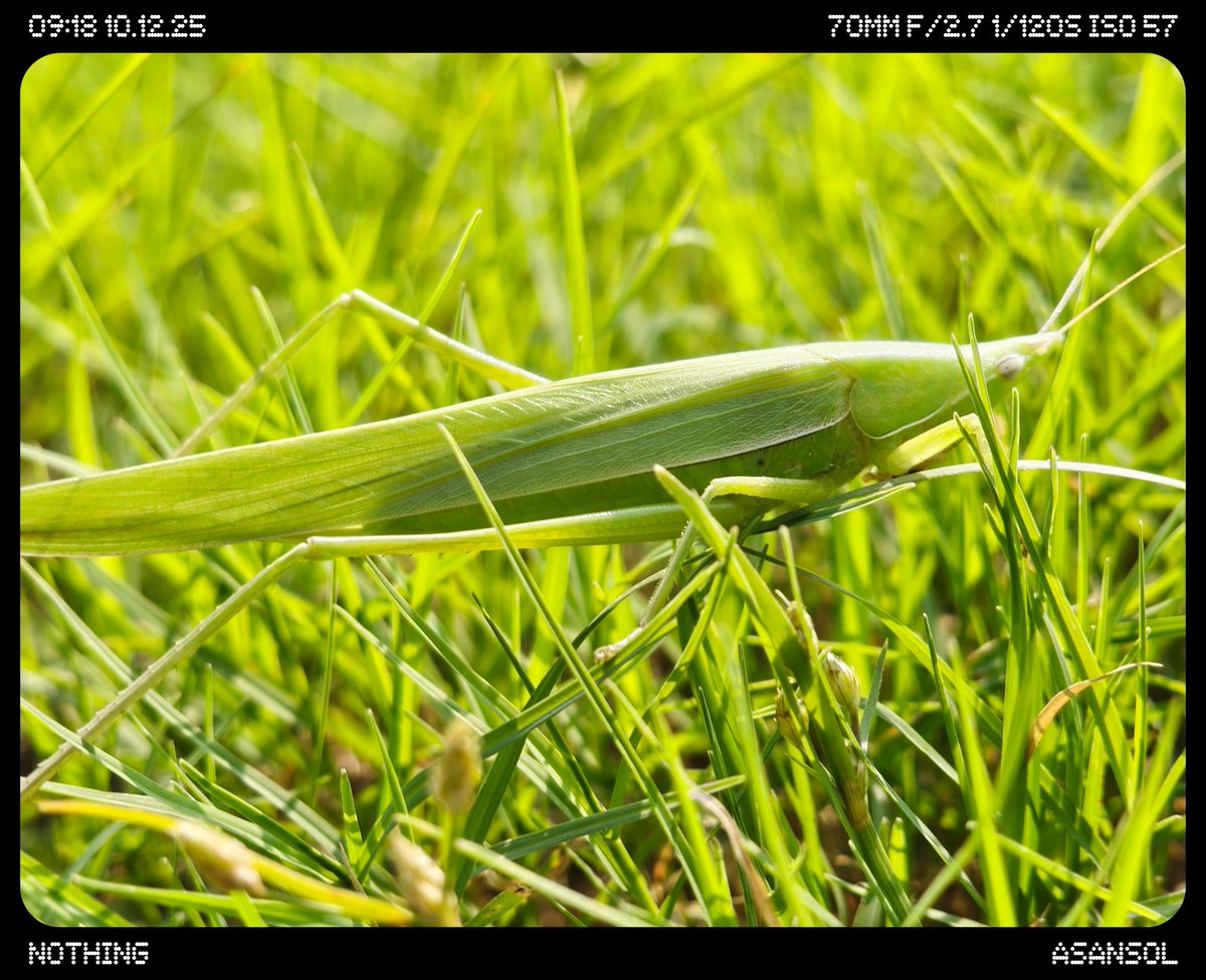 pradeep Kumar tweet media