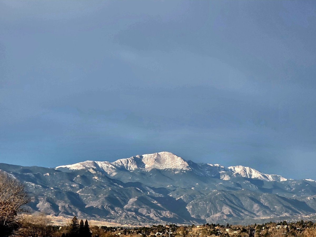 🌻 J-V tweet media