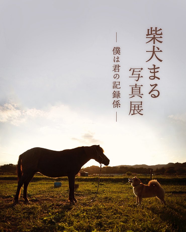 1616miki_miki's tweet photo. @marutaro2000

2025年12月18日（木）~21日（日）4日間
柴犬まる 写真展 ー僕は君の記録係ー

2025年「東京・銀座」「愛知県・名古屋」と
開催してきた写真展が大阪に上陸です

入場無料

18日（木）14～18時
19日（金）11～17時
20日（土）11～17時
21日（日）11～16時

#柴犬まる
#ギャラリー1616 https://t.co/6VbEYbu1B7