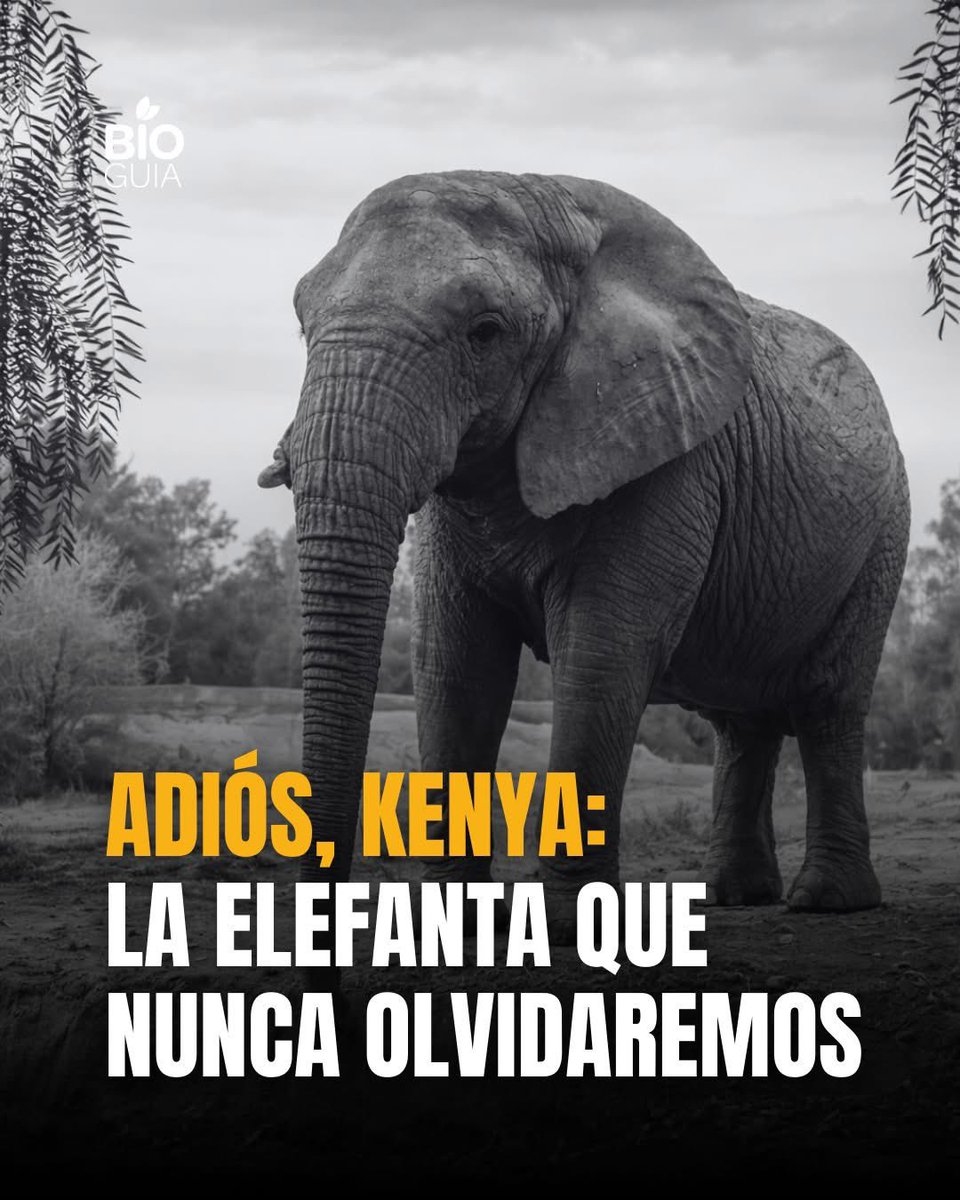 Valor ESG tweet media