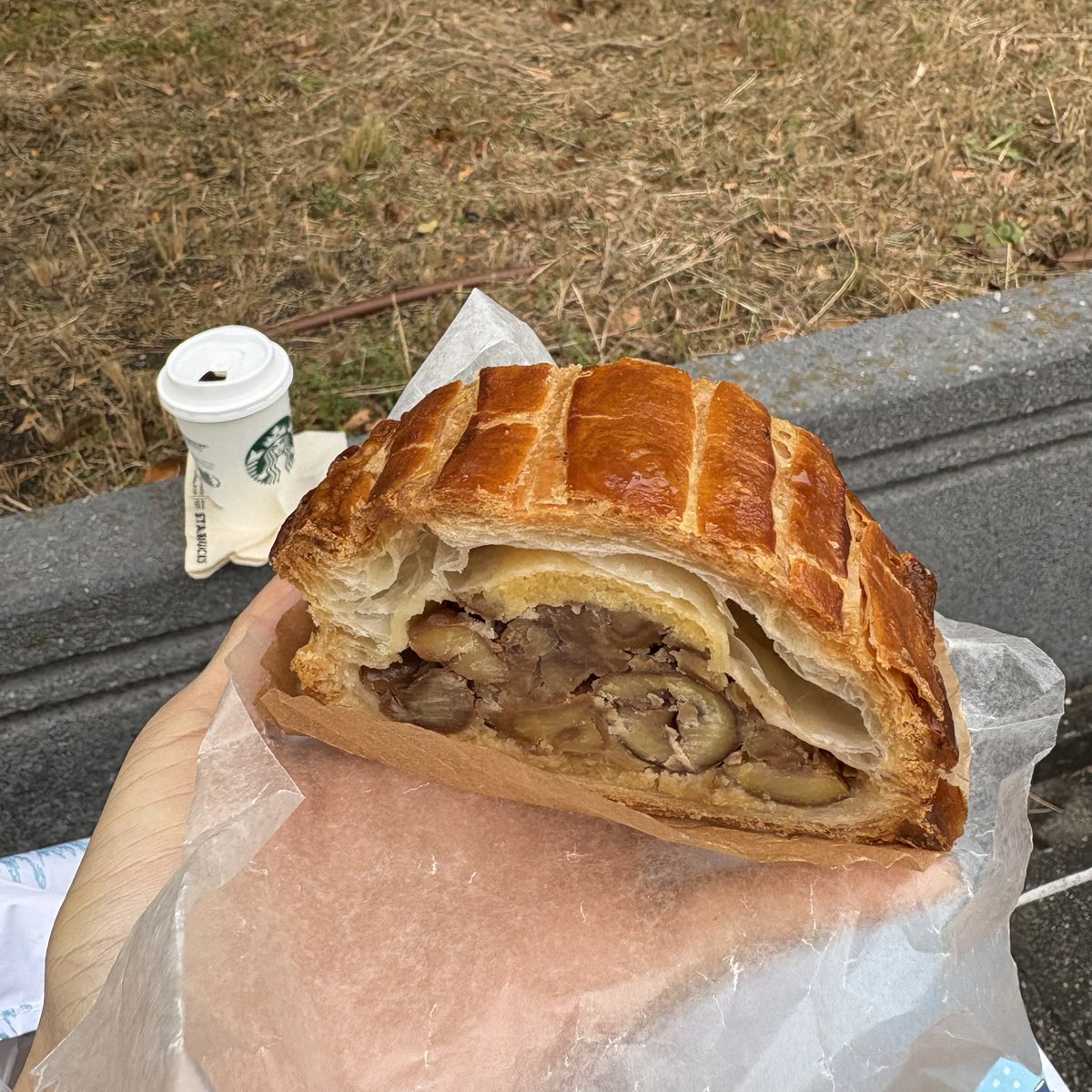 𓅪 kimidori 𓅪 (@kimidori41) / Posts / X