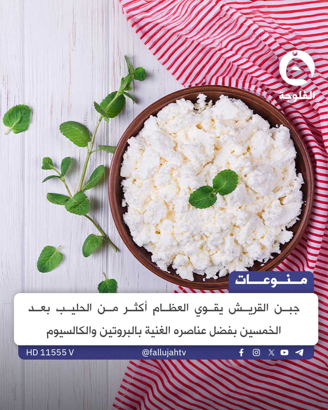 جبن القريش يتفوق على الحليب في تقوية العظام بعد الخمسين 