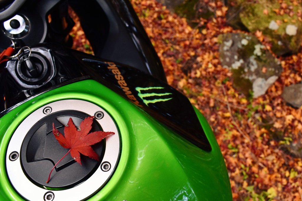 Goodbye autumn 🍁 #Kawasaki #Ninja #バイクのある風景