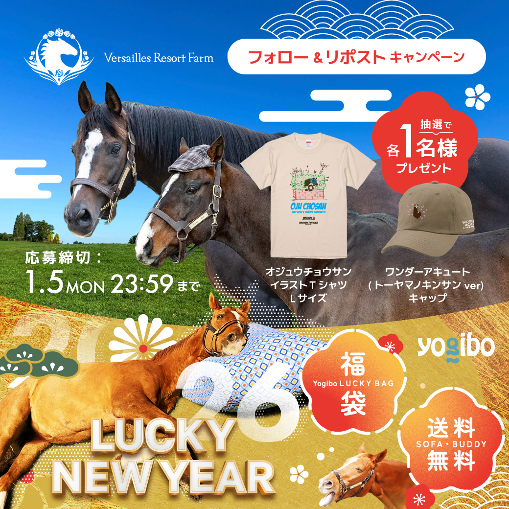 ゆきにゃん (@yukie011241) / Posts / X