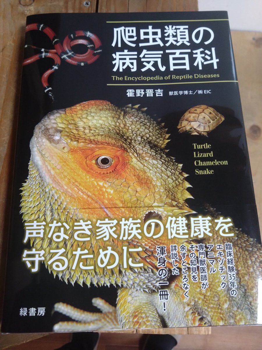 📚【入荷・店頭販売のお知らせ】

爬虫類飼育者・業者必携の一冊
『爬虫類の病気百科』
店頭販売開始します。

すでに業者様から多数のご注文を頂いており、
臨床経験に基づいた内容で
「持っておくべき本」として高く評価されています。

📖 価格：8,000円＋税
※数量に限りがありますのでお早めに。