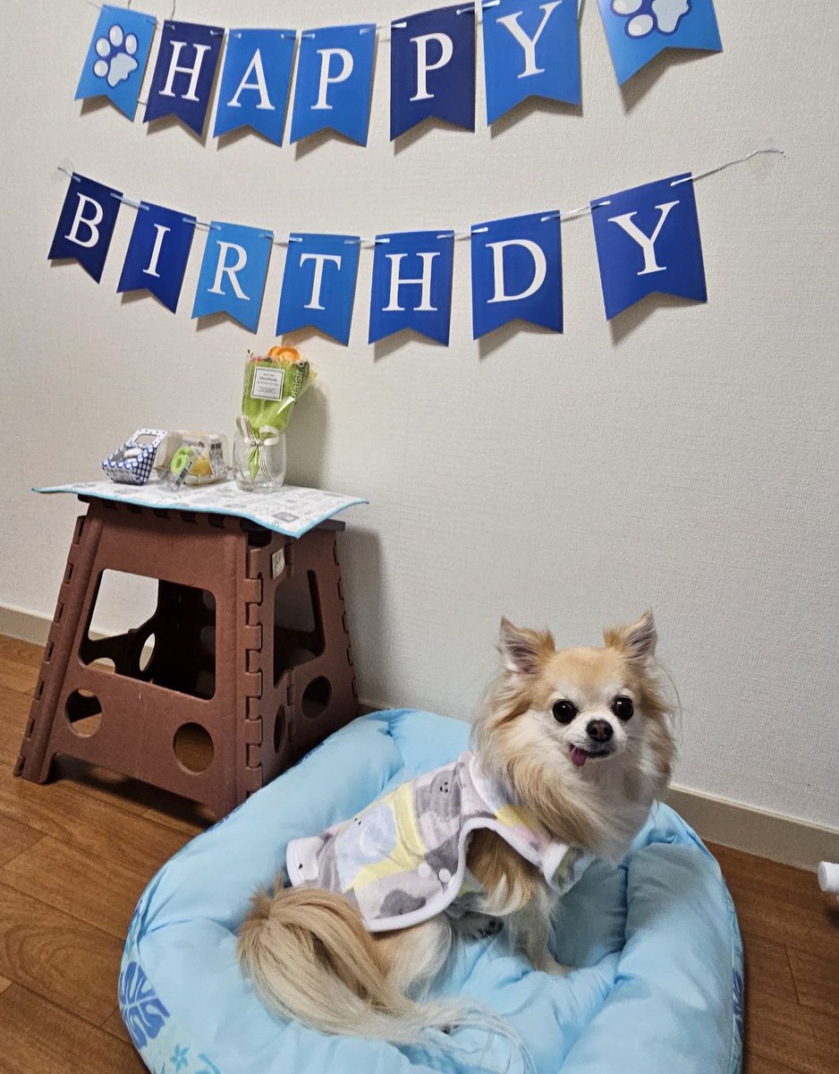dbd48128032's tweet photo. 本日結婚しました💍
👩😸ずっと大切にします。

実家の🐶の誕生日があったり、入籍したり素敵な1週間でした💐 https://t.co/W6IDAseP0F
