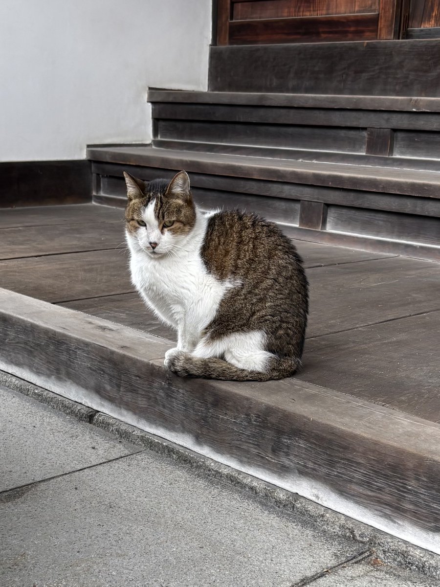 SAKUちゃん (@SakuraYnkk1) / Posts / X