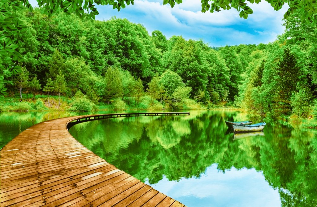 "पहाड़ गवाह हैं कि ऊँचाई तक पहुँचने के लिए रास्तों की मुश्किलों से गुज़रना पड़ता है।