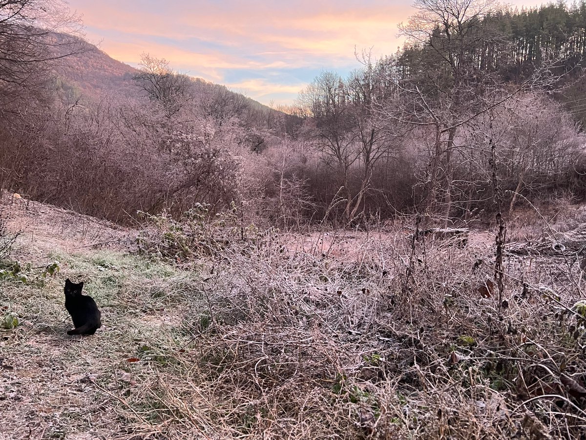 צבעים יפים על הבוקר