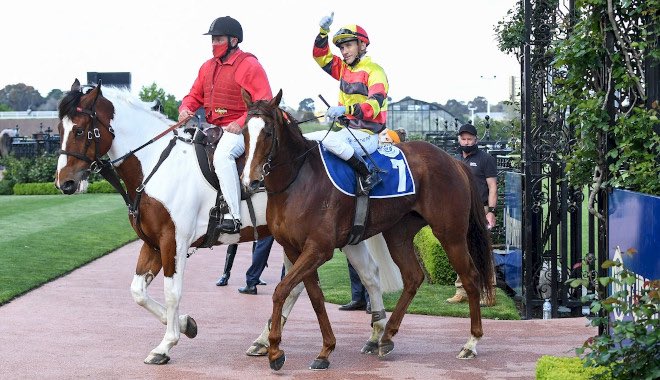 Blind Freddy tweet media