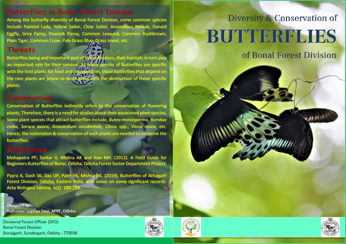 BiotechSanjeet's tweet photo. These posters are designed to raise awareness and highlight that Nature Camp is not just a place for enjoying nature, but also a hub of flora and fauna for learning and exploration.
#naturecamp #flora #fauna #biodiversity #exploration #nature
@SDG15LifeOnLand @SDG2030 @Sdg13Un @FAOForestry @IcfreIndia @IUCN_forests @ForestDeptt @pargaien @rameshpandeyifs @moefcc @EnvironmentPib @PCCFWL_Odisha @UNDPplanet @UNEP @CMO_Odisha @MohanMOdisha @PMOIndia @narendramodi @GaneshRamBJP @Prem_CWLWOdisha