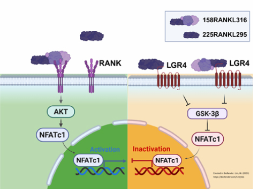 eCM Journal tweet media