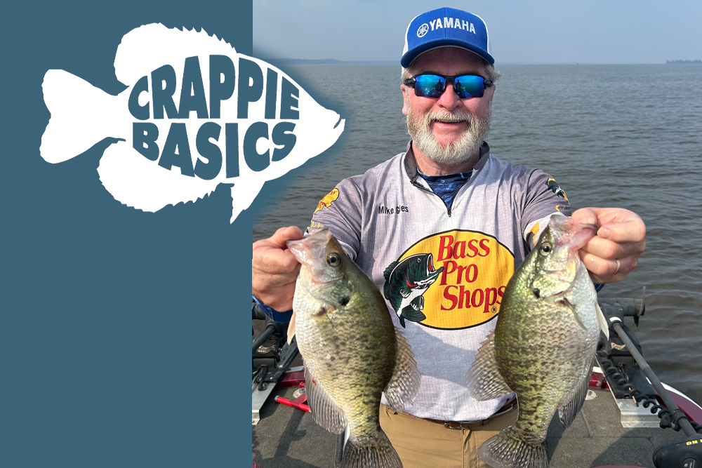 CrappieNow's tweet photo. Mississippi stays hot in winter. Hugh Krutz breaks down why Barnett Reservoir produces year-round as shad move shallow and crappie follow to the Hwy 43 bridge. Learn how to catch them here: https://t.co/AAZIqaS6VD
#CrappieFishing #BarnettReservoir #WinterFishing #SpiderRig https://t.co/bUxbJm77SK