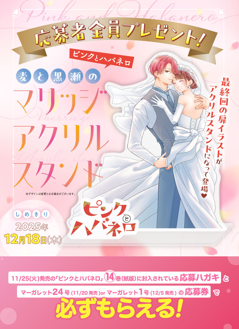 ピンクとハバネロ 1～14巻（全巻セット）（マーガレットコミックス