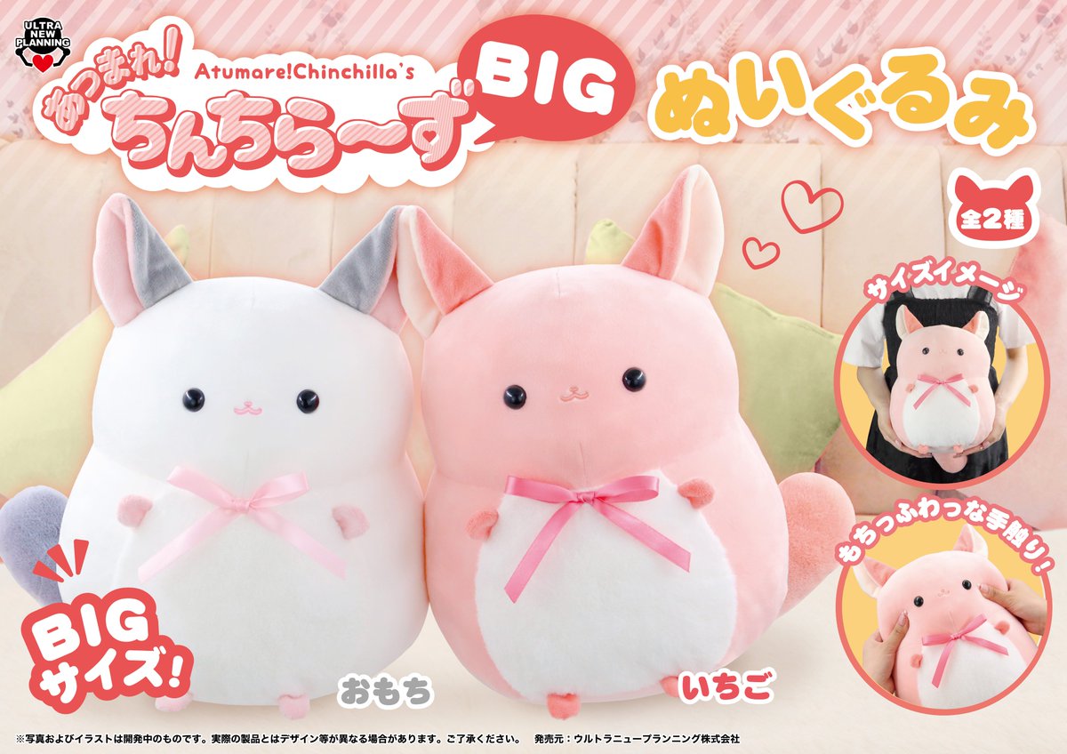 🌷新商品のお知らせ🌷

＼あつまれ！ちんちら～ずBIGぬいぐるみ／

もちっふわっな触り心地に癒される💞
やさしいおもちと、あまいいちごの2匹が登場💗

✨12/18（木）より順次入荷✨