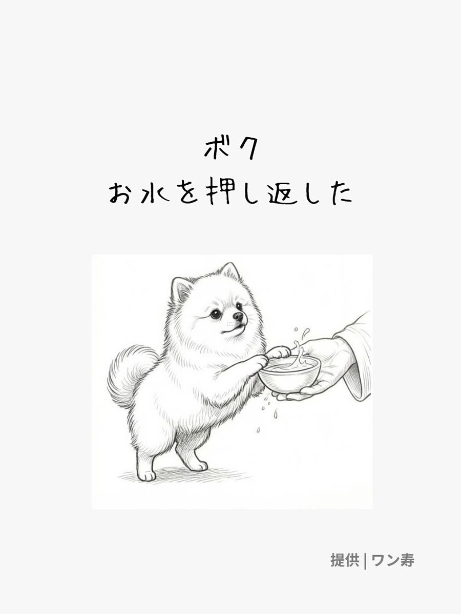 lifefire_zndmn's tweet photo. https://t.co/DegvB7e2gL