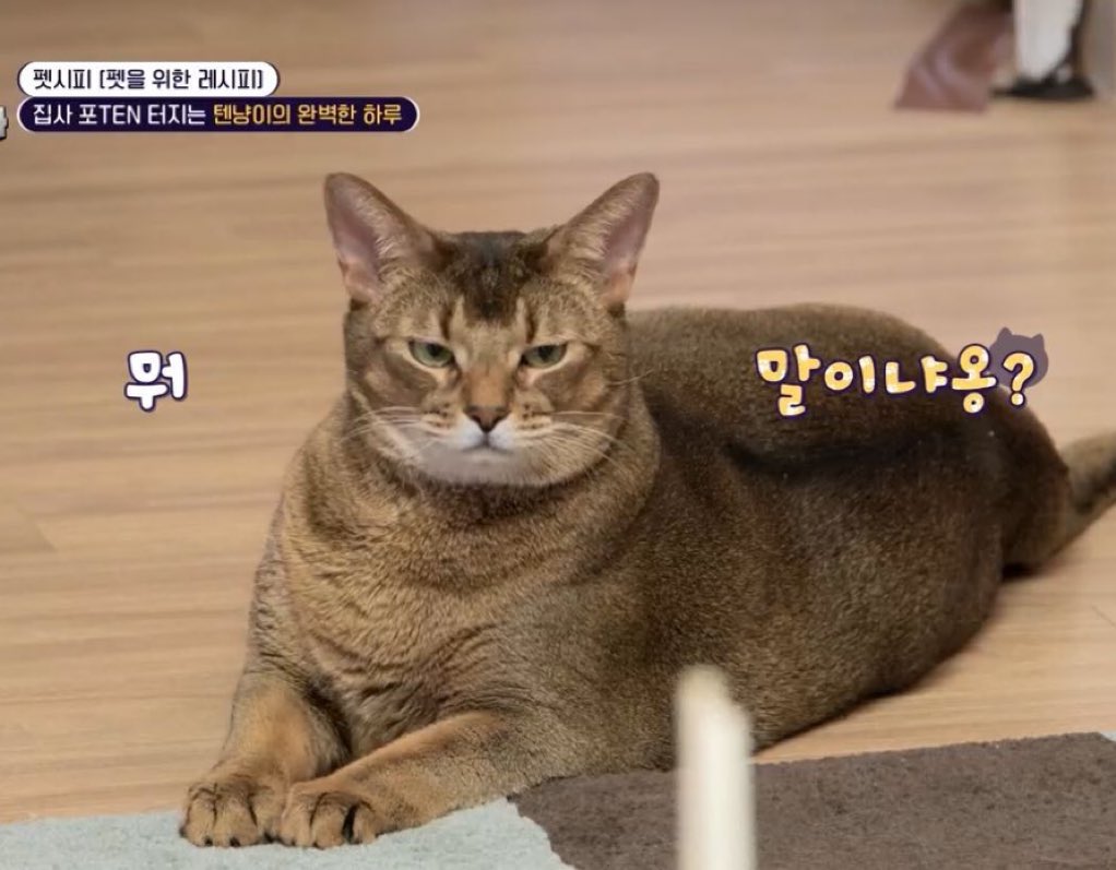 porlee22's tweet image. ถ้ามีรางวัลคนดังใน x แห่งปี 2025 ลีออนต้องได้รางวัลเด้อ แมสทุกอาทิตย์ แมสทุกเดือนจริงๆอะ ดาราใหญ่จริงๆ