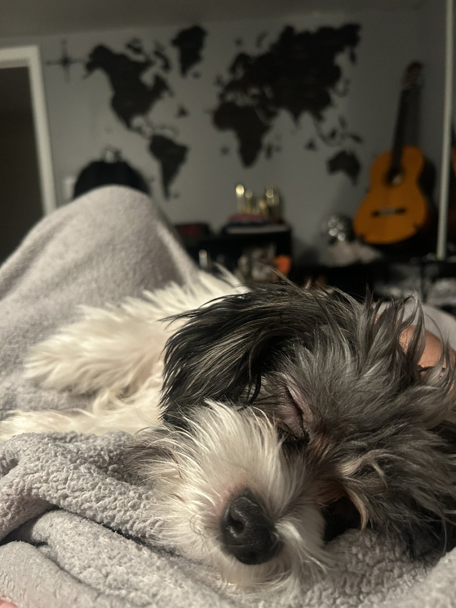 Kath🌈 (@katherineagr) on Twitter photo 