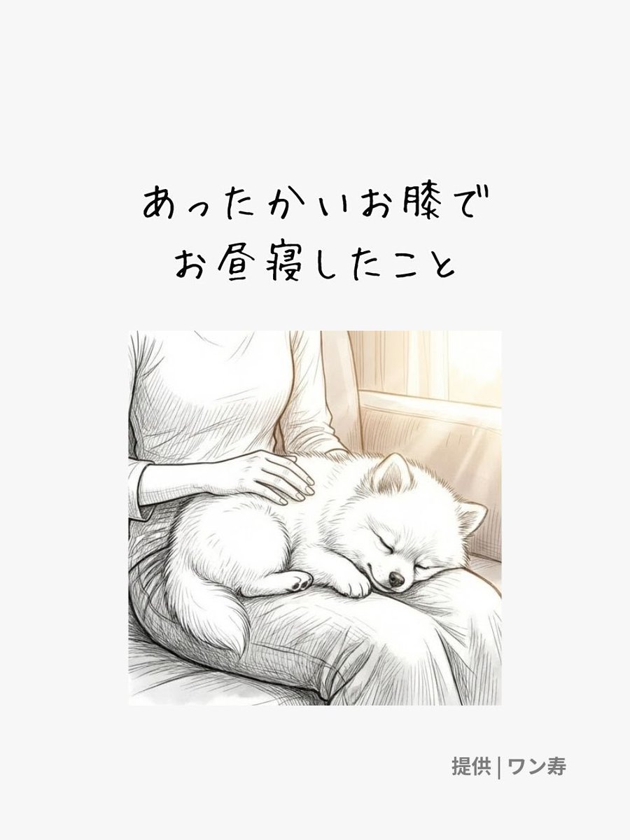 lifefire_zndmn's tweet photo. https://t.co/yrMdNar5hp
