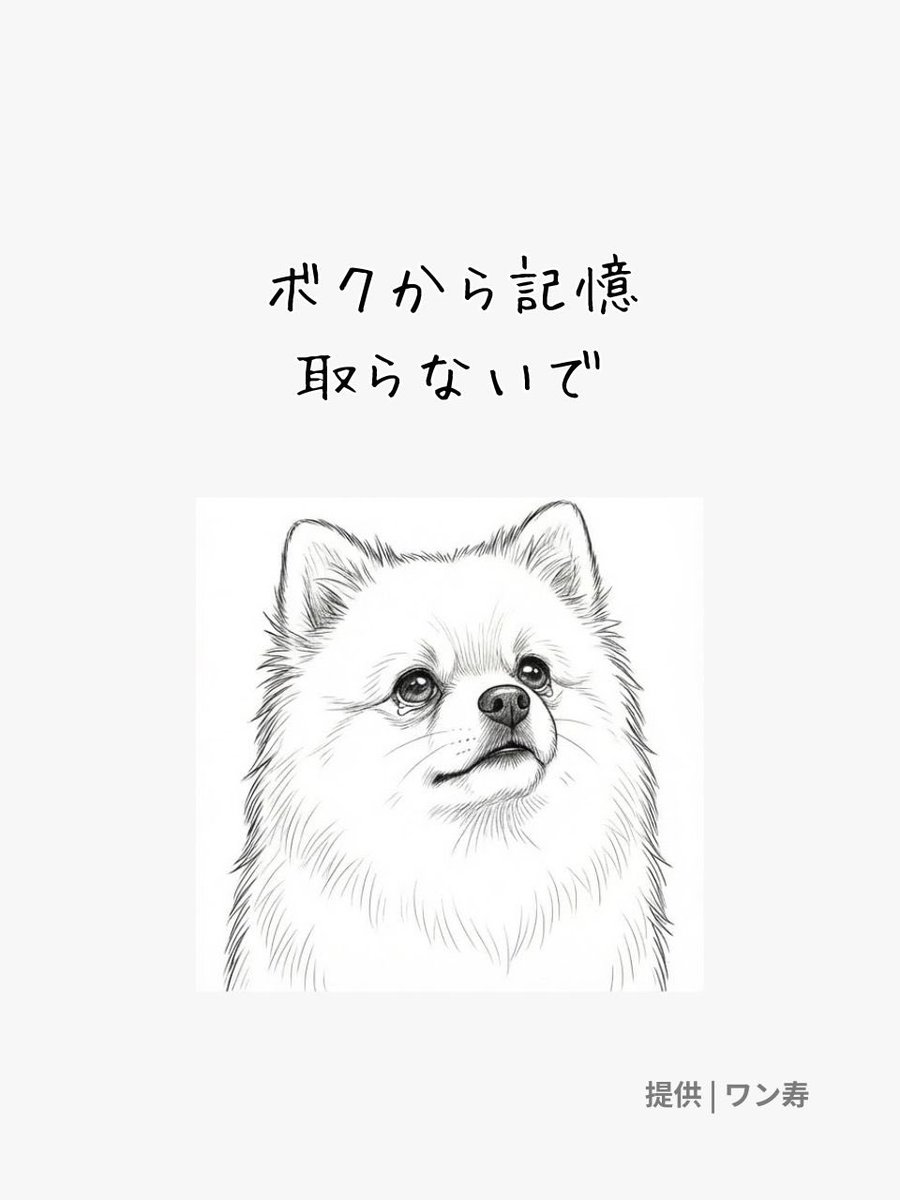 lifefire_zndmn's tweet photo. https://t.co/yrMdNar5hp