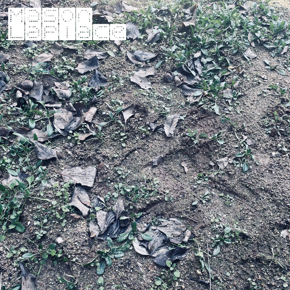 [신보 / New Release]

Mason Laplace 1st EP "Touch Grass"

가 Bandcamp로 발매되었습니다!
Soundcloud에서도 들을 수 있으니 즐겨주세요!
재즈트로니카 앨범입니다!

Soundcloud : soundcloud.com/lhweam/sets/to…
Bandcamp : lhweam.bandcamp.com/album/touch-gr…