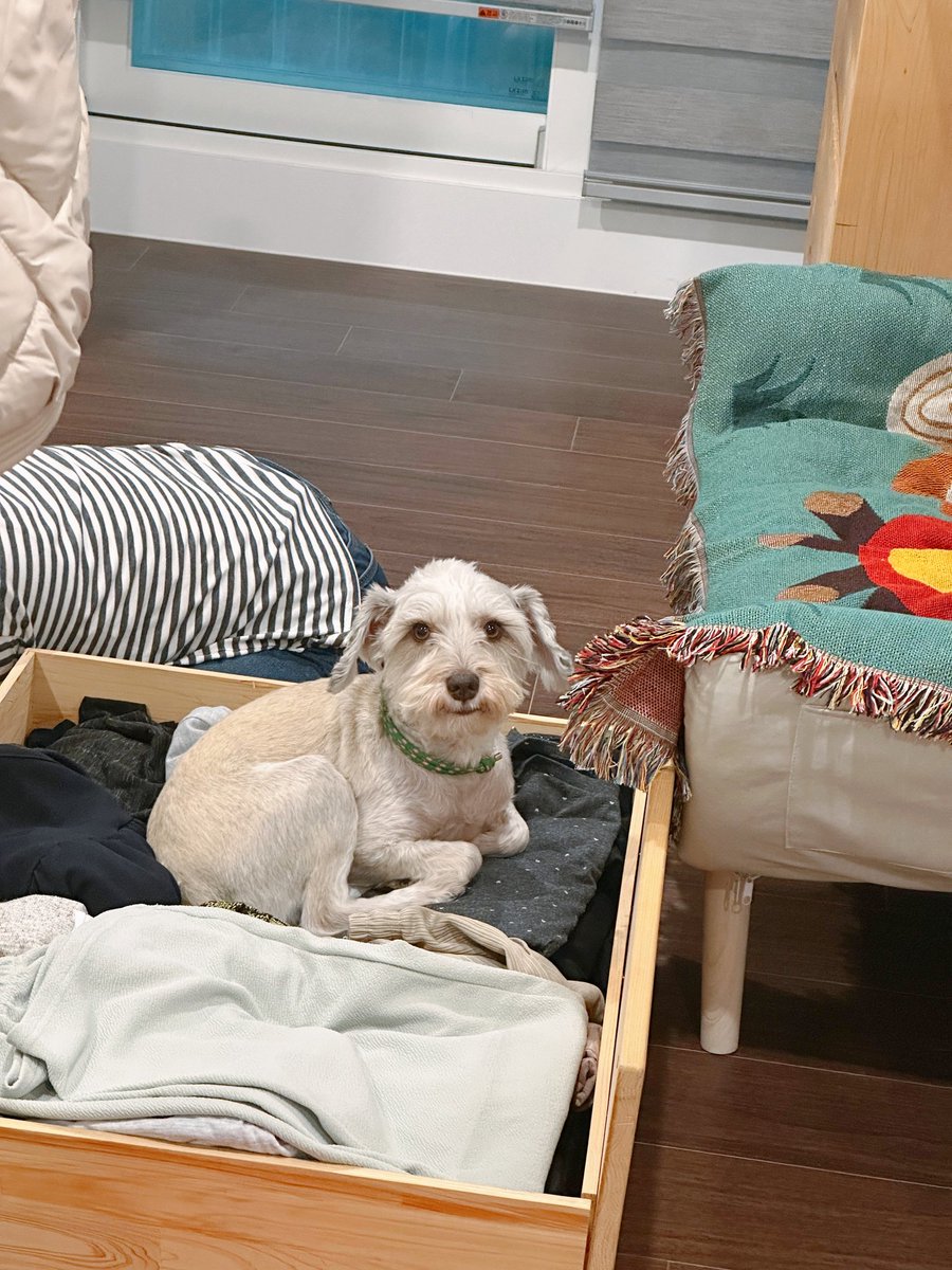 나오니라 개냥아.....^^,,,,