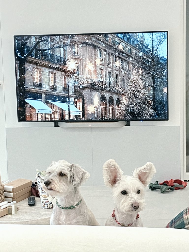 미리 크리스마스🎄