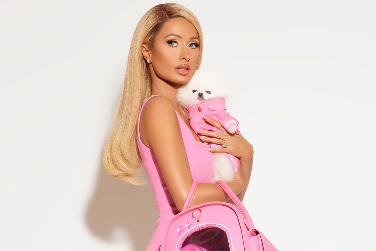 The Dots tweet media