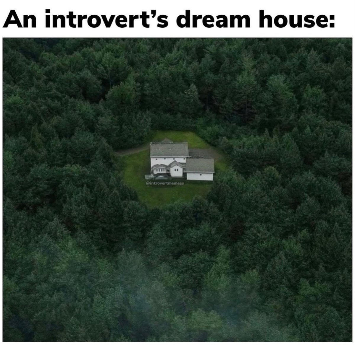 AllAbIntroverts's tweet image. 