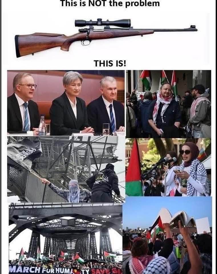 Terri_1987a's tweet image. It's not hard to understand what happened last Sunday. It's just @AlboMP who doesn't get it.