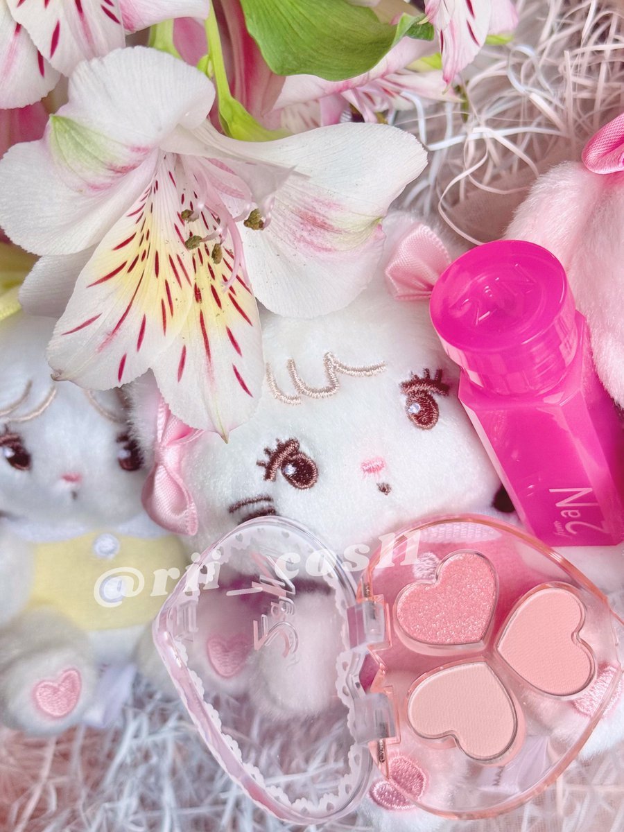 𓈒꙳⋆りーちゃむ🐶🍓⋆꙳𓈒 (@rii_cos11) / Posts / X