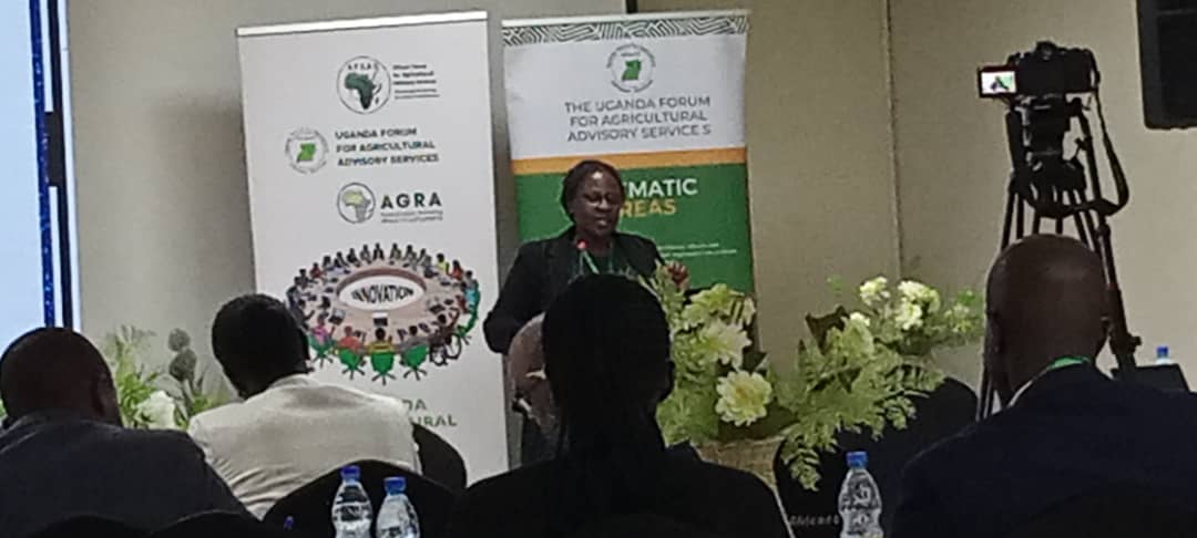 African Forum For Agricultural Advisory Services. tweet media