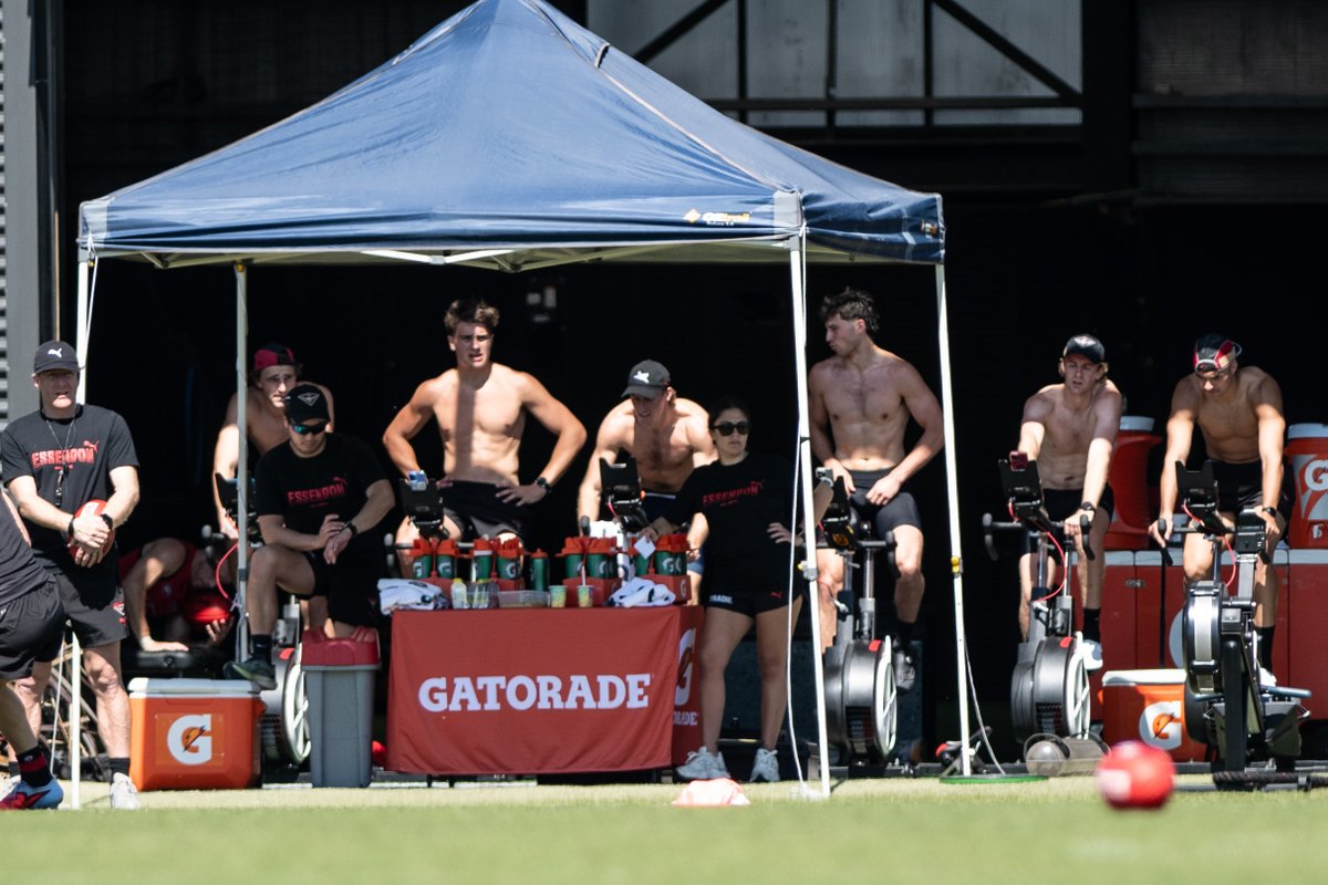 The Caddy Shack (@charliedons) on Twitter photo 