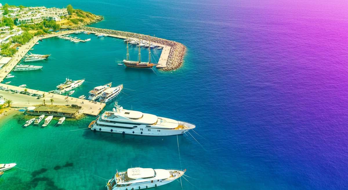 Günaydın Bodrum! ☀️

Bugünün güzelliği: GÜRECE 📍
17 Aralık Çarşamba

Harika bir gün olsun! 💙 #Bodrum #BodrumAdvisor