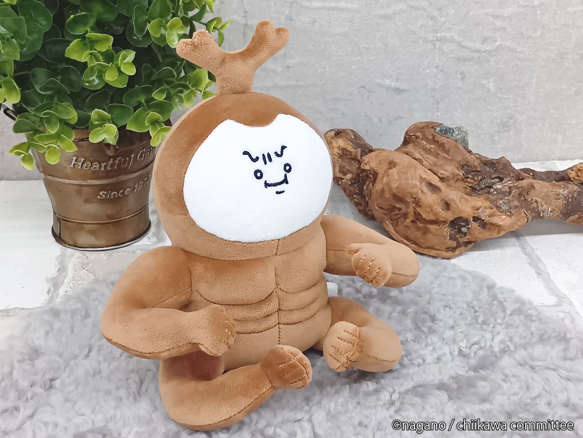 ⭐︎ニックになります⭐︎ ニック2号 (@rappurutabubbui) / Posts / X