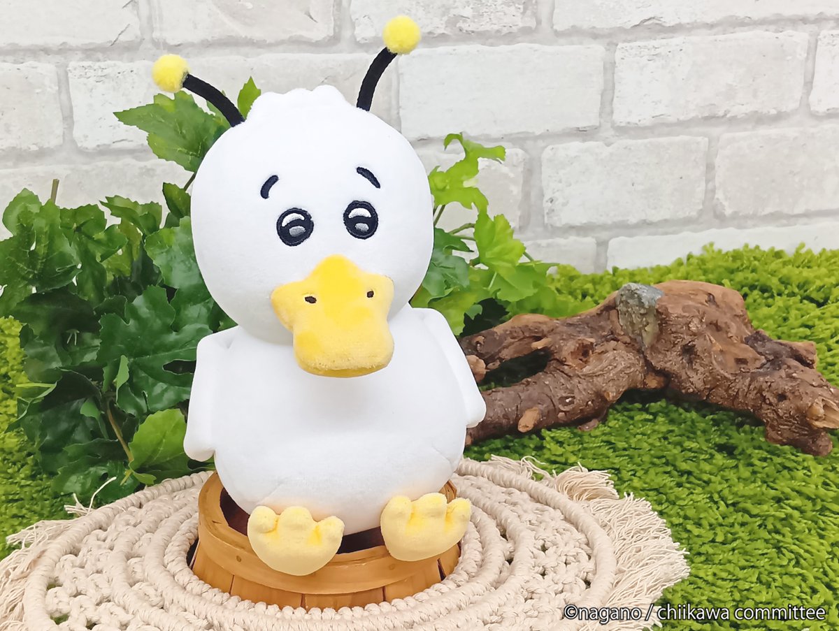 ⭐︎ニックになります⭐︎ この日から約1年、私の人生が全然進んでない