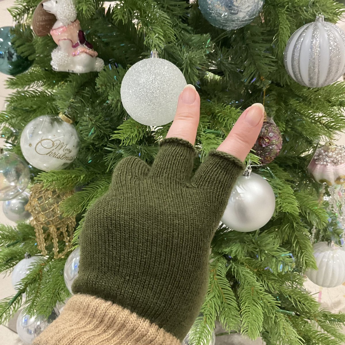 ジャモロン (@hanamaruchal) / Posts and Replies / X