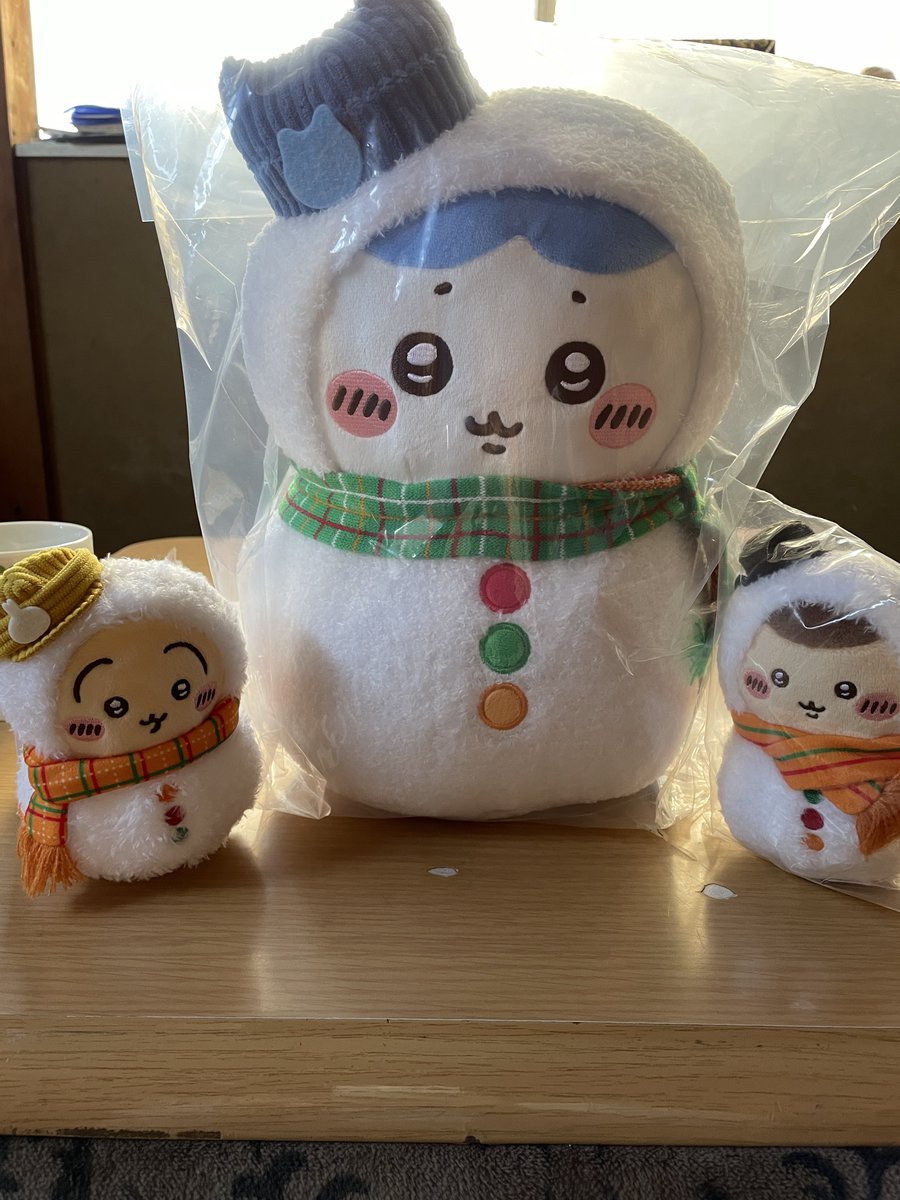 🩵✨まゆ✨🩵 (@hachiwarechan04) / Posts / X