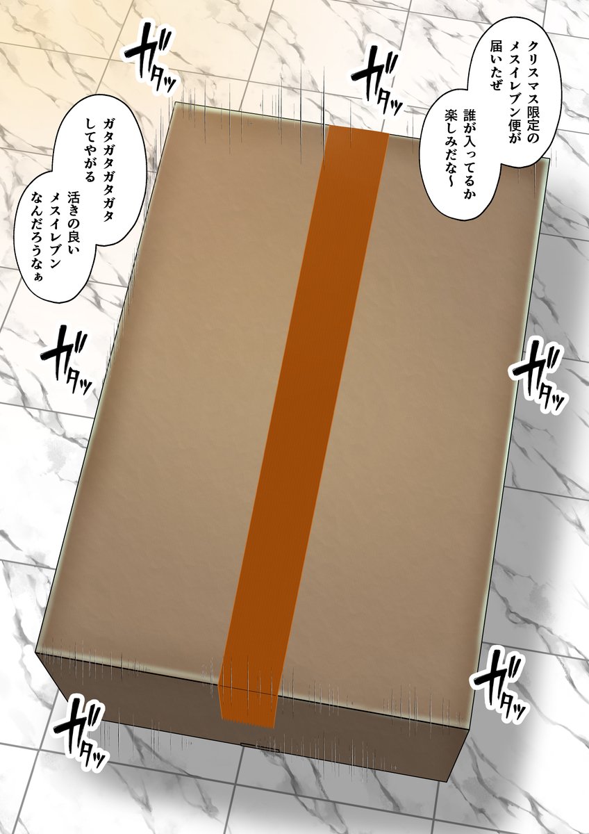 クリスマスプレゼントにはメスイレブン 