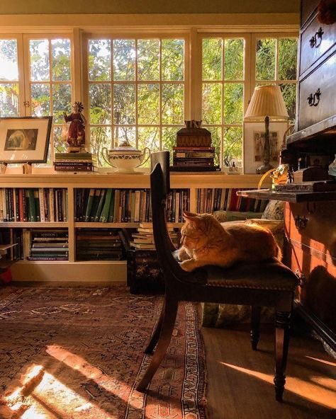 Virgie (@young_virginia_) on Twitter photo 