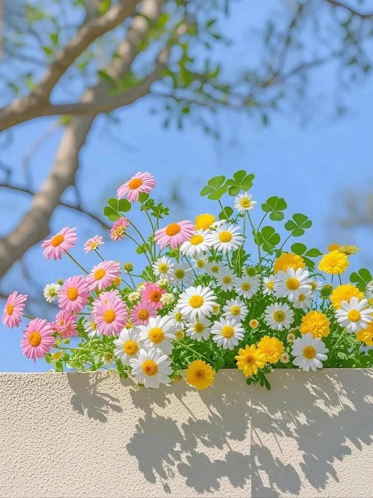 ____flowers__'s tweet image. 