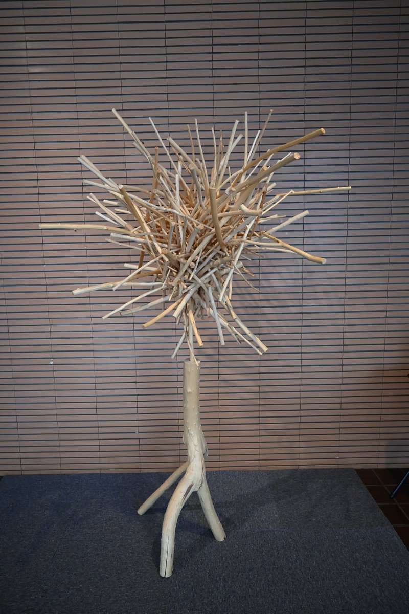 【#今日の樹華】
4日目。
定点撮影のためわかりにくいですが、全体的に前にせり出してきました。
#旭川美術館　#砂澤ビッキ