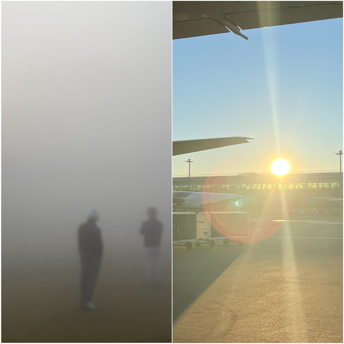 12月某日デリーと東京の朝の違い
インド毒霧レベルの空気やばいしにそう