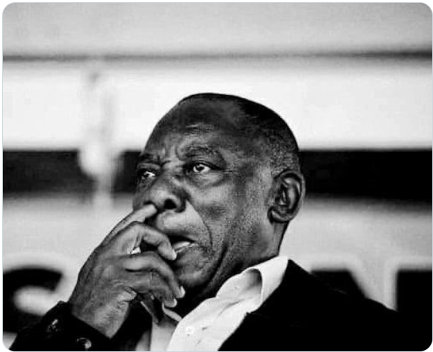 Andre van Noordwyk tweet media