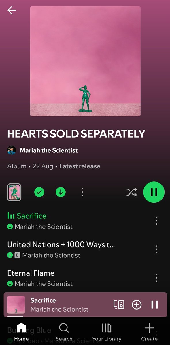 zwiktorian's tweet photo. The only Mariah that matters. https://t.co/SqFrFnSfPl