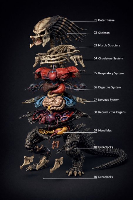 #chatgptimages #nanobanana #prompt
ChatGpt image

Exploded anatomic view

{
  "variables": {
    "OR